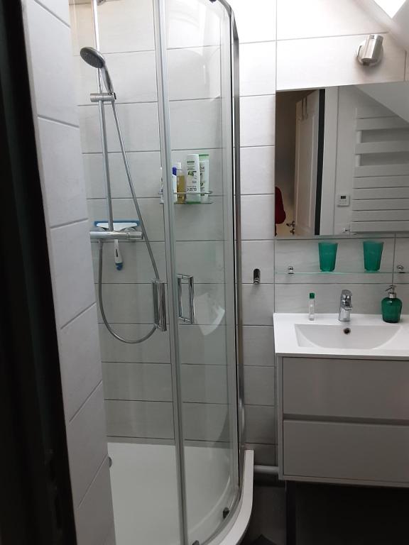 Koupelna v ubytování CHARMANT APPARTEMENT à 150 M des THERMES et du CENTRE VILLE
