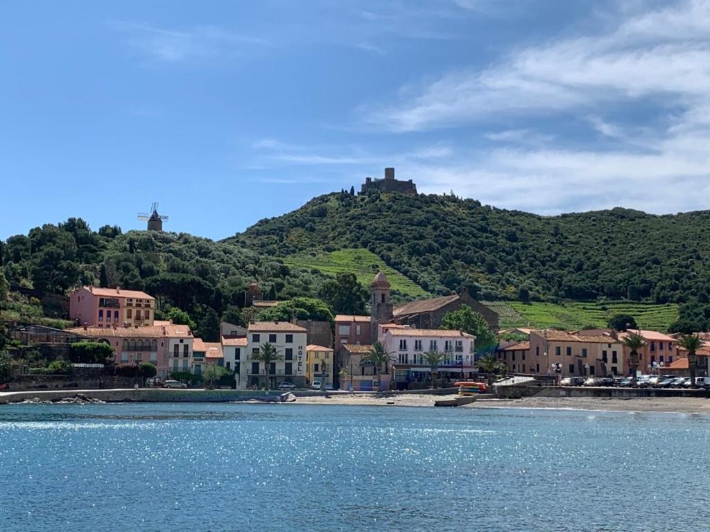 una ciudad en una colina junto a un cuerpo de agua en El Mayul 2' centre, plage, WiFi, au calme, clim, parking,, en Collioure