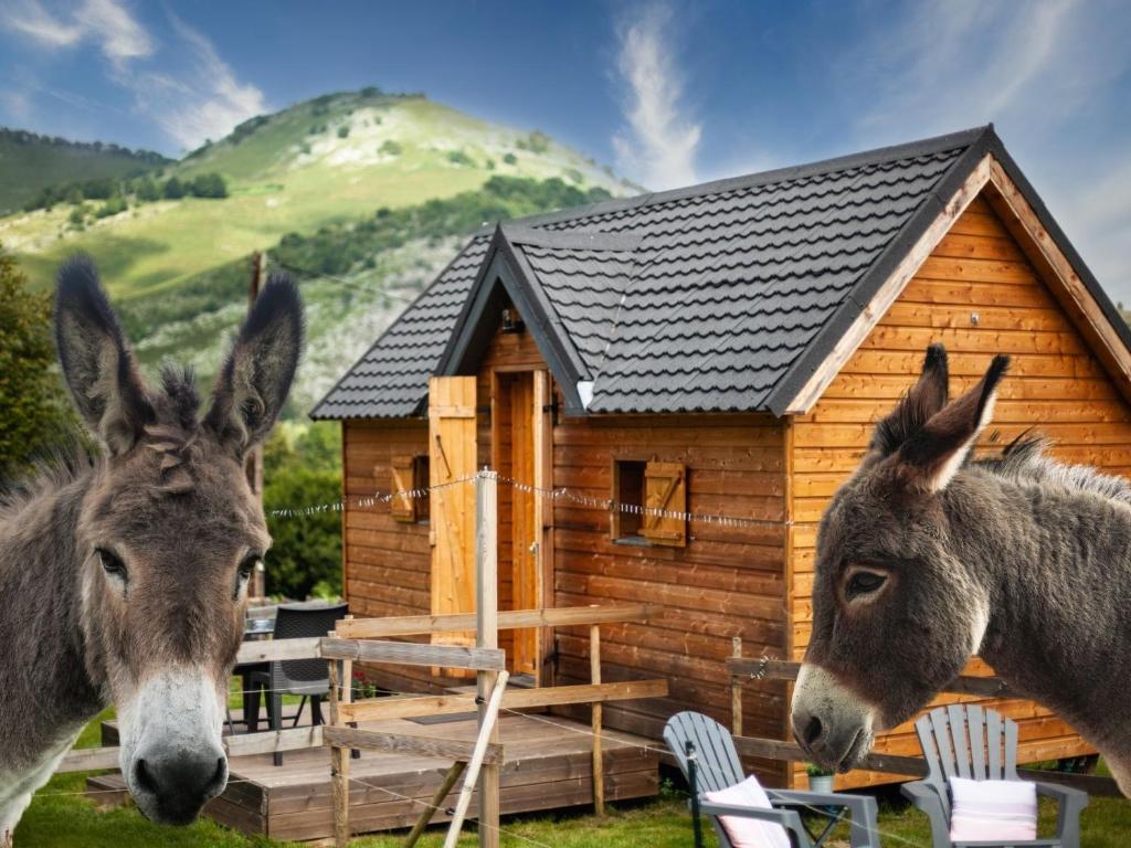 dos burros parados frente a una cabaña de madera en Cab'ânes du Pibeste, en Ségus