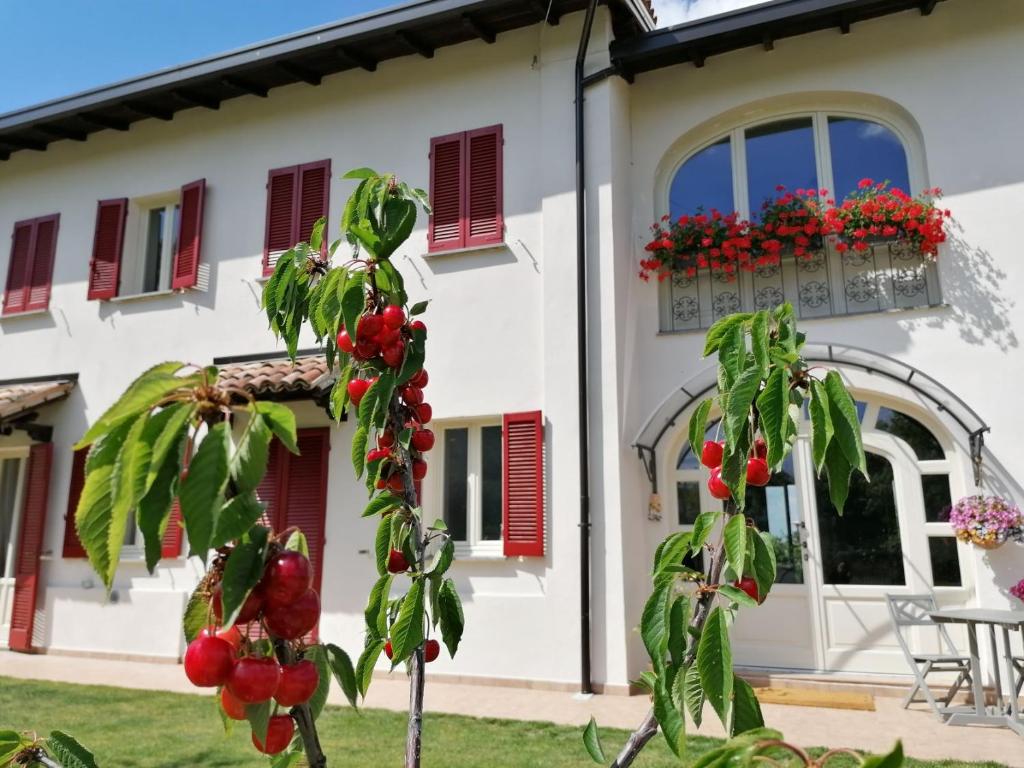 a house with red shutters and a plant with tomatoes at la Mafalda in Oltrepo in Codevilla
