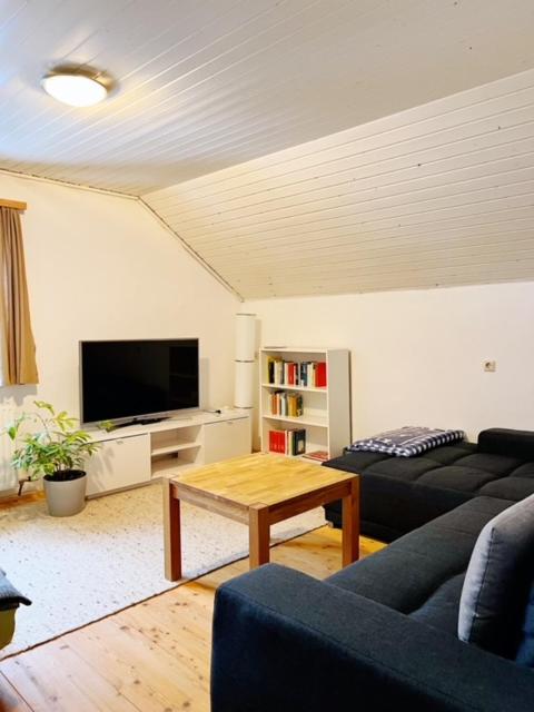 TV a/nebo společenská místnost v ubytování Apartment Sophia - Hallstatt
