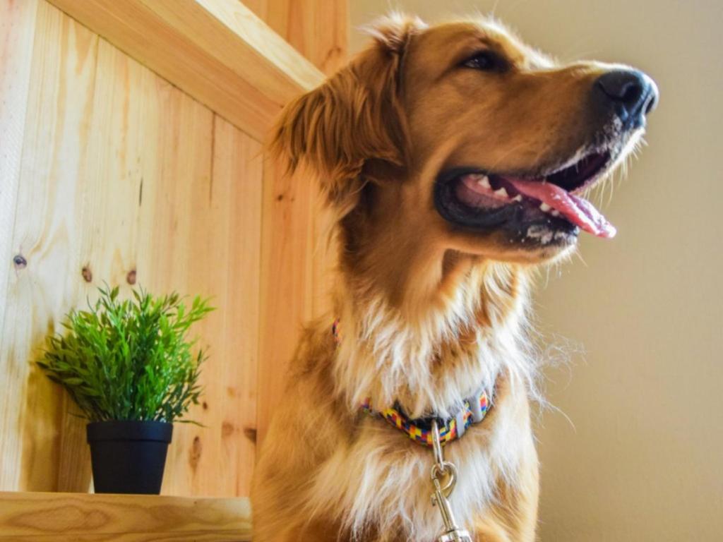 Hotel San Miguel - 10