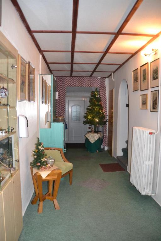 Fotografie z fotogalerie ubytování Pension U akátu v Praze