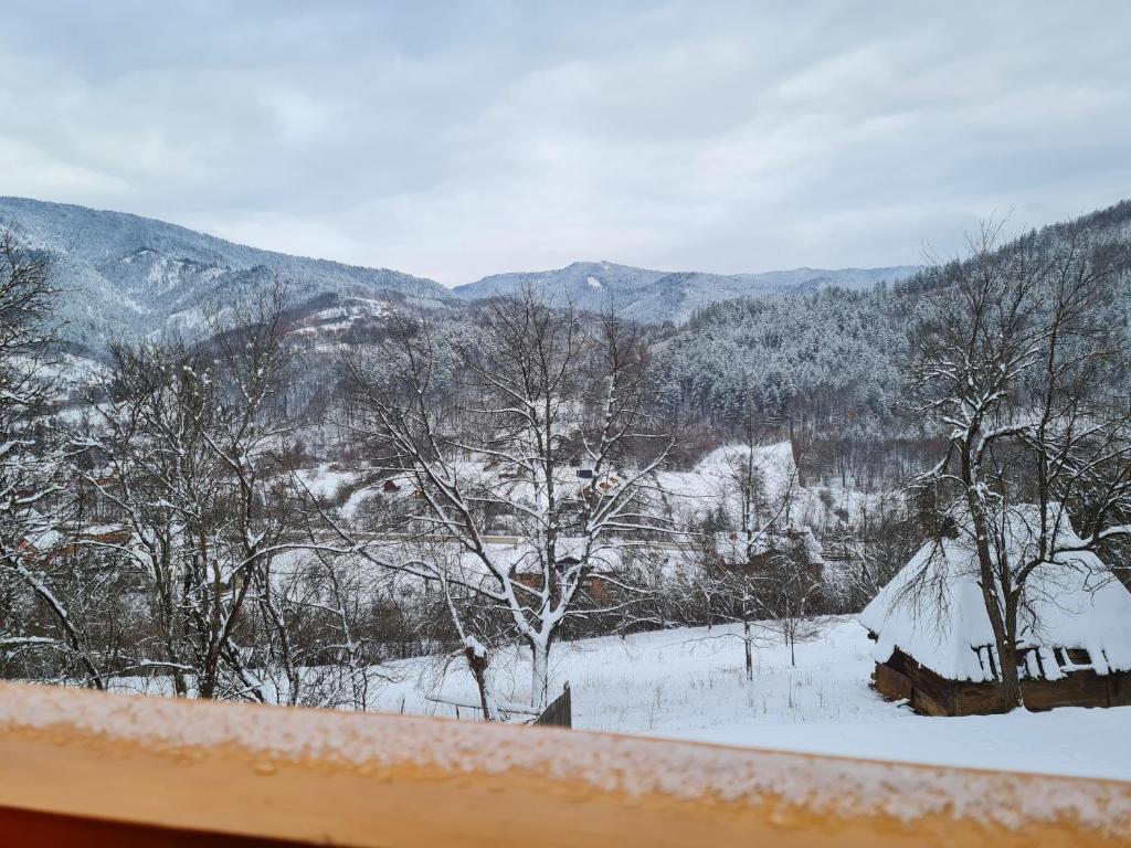 a view of a snow covered valley with a house at Guest House Rankić in Mokra Gora