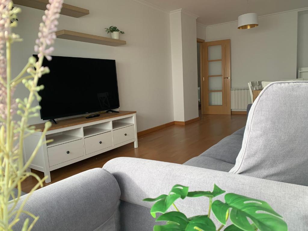 TV a/nebo společenská místnost v ubytování OKTHEWAY Castelao Street