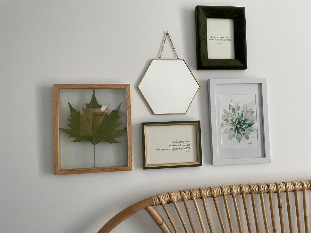 Apartamentos con encanto en el centro de Granada - 4