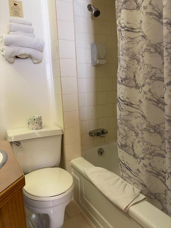 een badkamer met een wit toilet en een douche bij Stork Nest Inn in Smithers