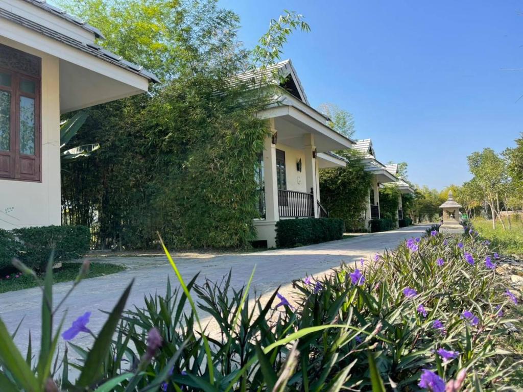 Chapulin Natural Resort - Resim 30