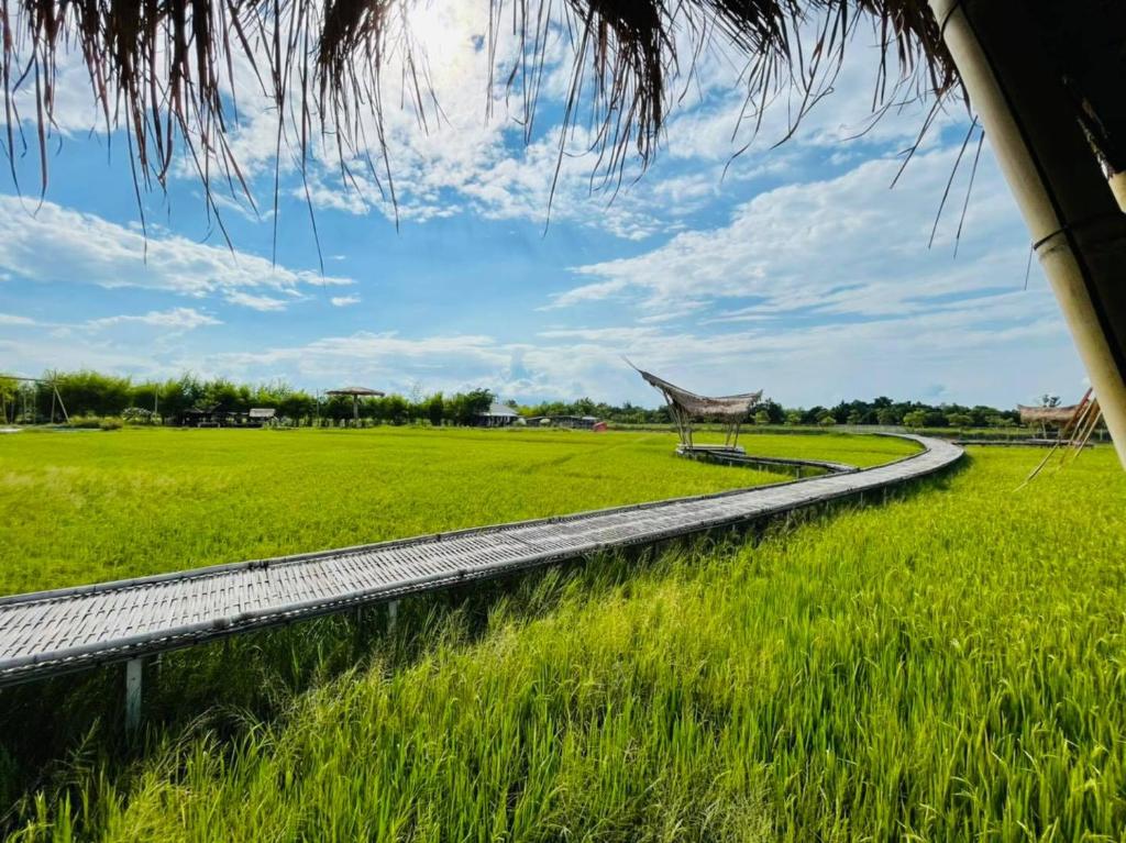 Chapulin Natural Resort - Resim 28