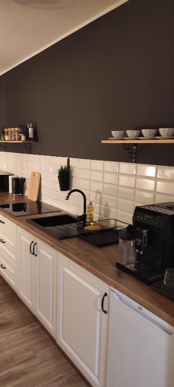 Kuchyň nebo kuchyňský kout v ubytování Śpij w Kudowie Apartament i pokoje gościnne