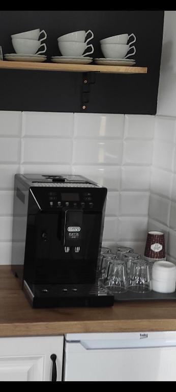 Kuchyň nebo kuchyňský kout v ubytování Śpij w Kudowie Apartament i pokoje gościnne