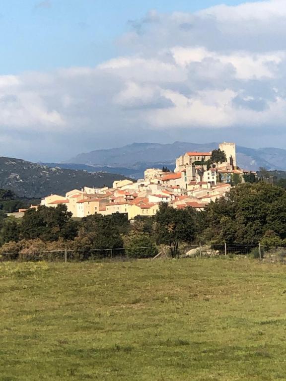 une ville au sommet d'une colline dans un champ dans l'établissement Charmante maison de village avec toit terrasse, à Montalba-le-Château