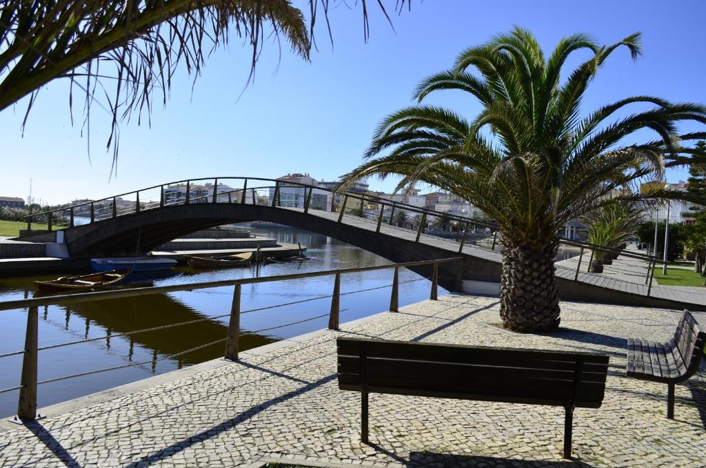 uma ponte sobre um rio com um banco e uma palmeira em Hotel Sra da Conceicao na Praia de Mira