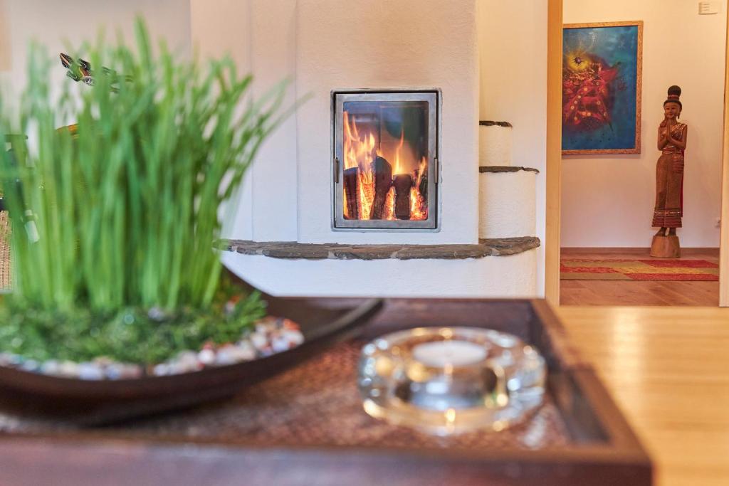Bio-Ferienhaus-Eifel - 度假屋