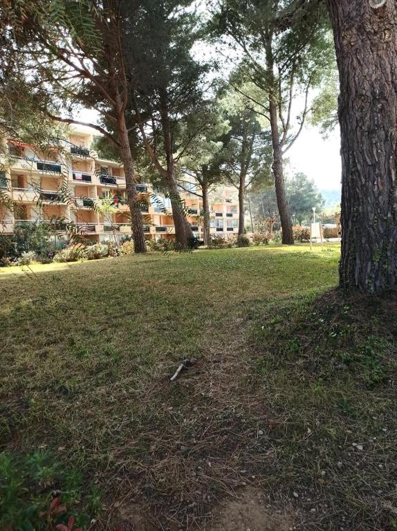 un groupe d'arbres dans un champ à côté d'un bâtiment dans l'établissement Les embruns, à Bormes-les-Mimosas