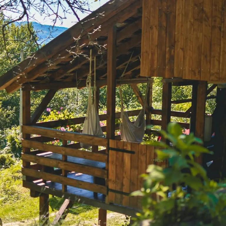 Príroda v okolí chaty v prírode