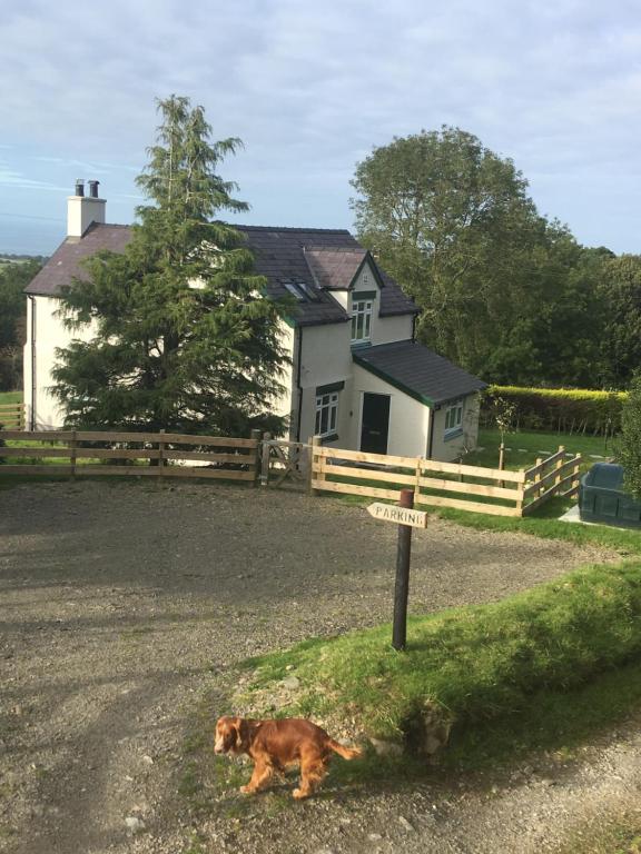 a dog laying in the grass in front of a house at Charming 3-Bed House in Abergele Wales UK in Abergele