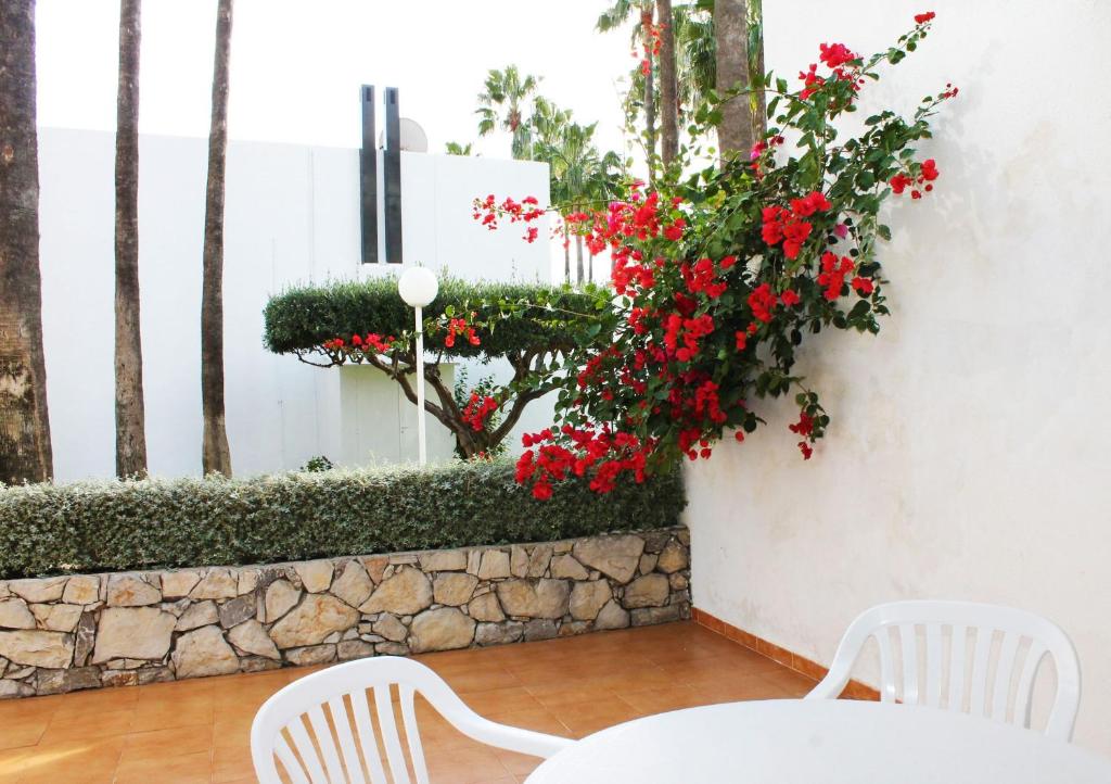 Apartamentos Tamarindos Peñiscola - 18