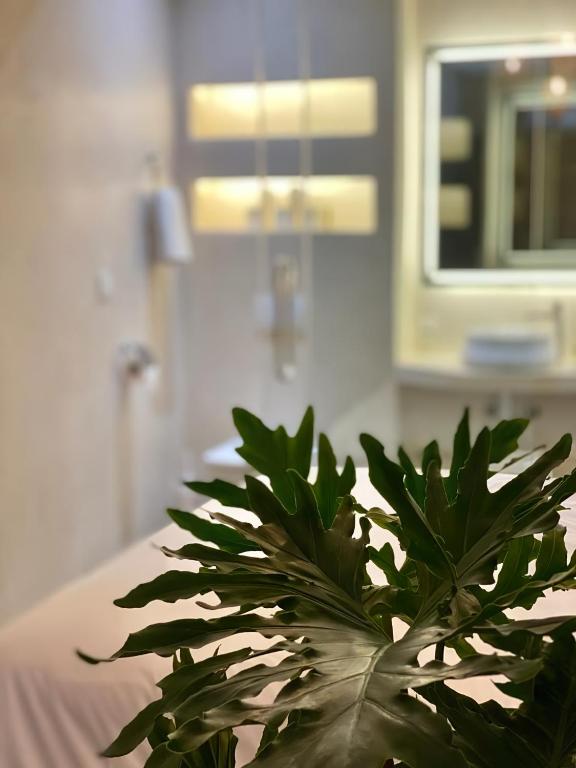 Fotografie z fotogalerie ubytování Aparthotel & Hotel Doha v destinaci Nador