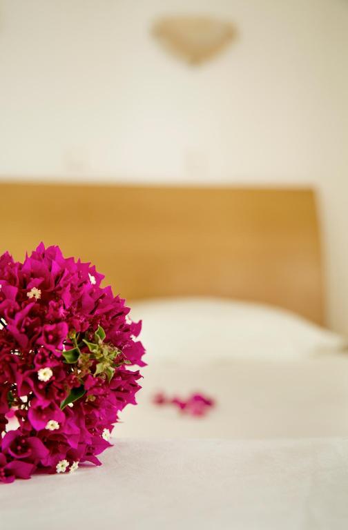 Lambis Studios & Apartments - 15