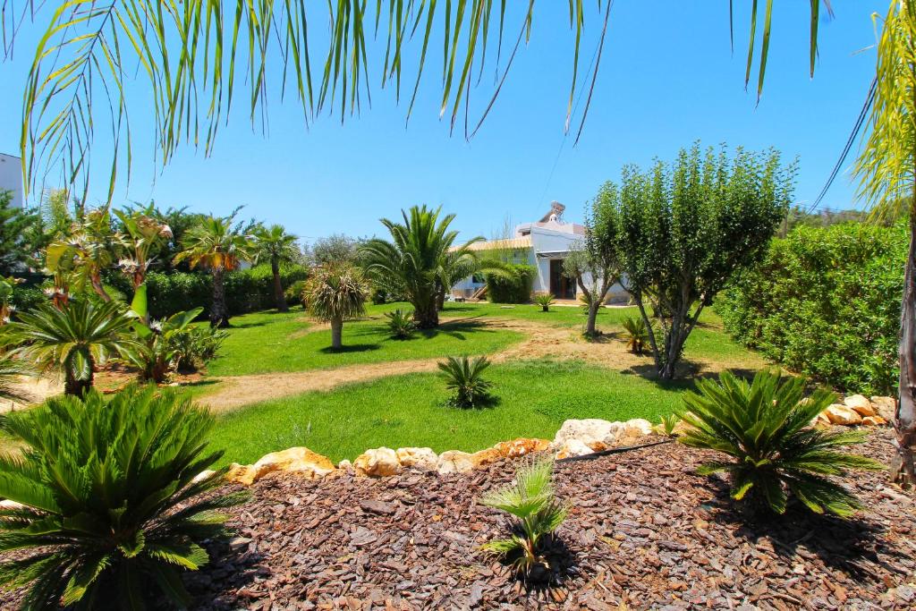 a garden with palm trees and a house in the background at Beautiful Algarve Pool Villa Bali 15min to beach in Mexilhoeira Grande