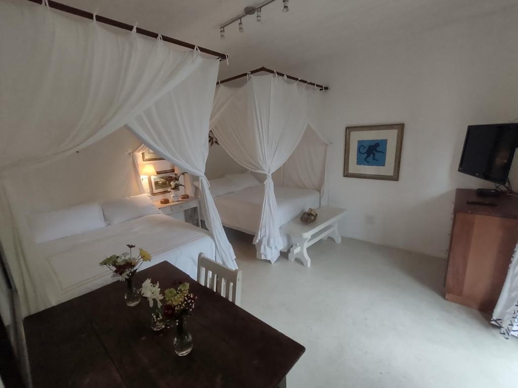 TV a/nebo společenská místnost v ubytování Monkey Casa Hotel