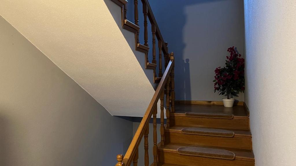 Willa Larysa Agro - 17