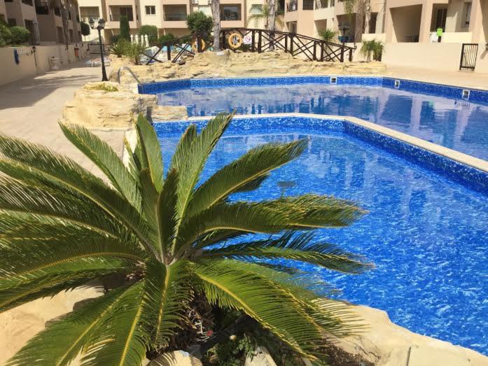 un palmier en face d'une piscine bleue dans l'établissement Lovely 2 bedroom apartment A206, 800m to the sea, à Paphos