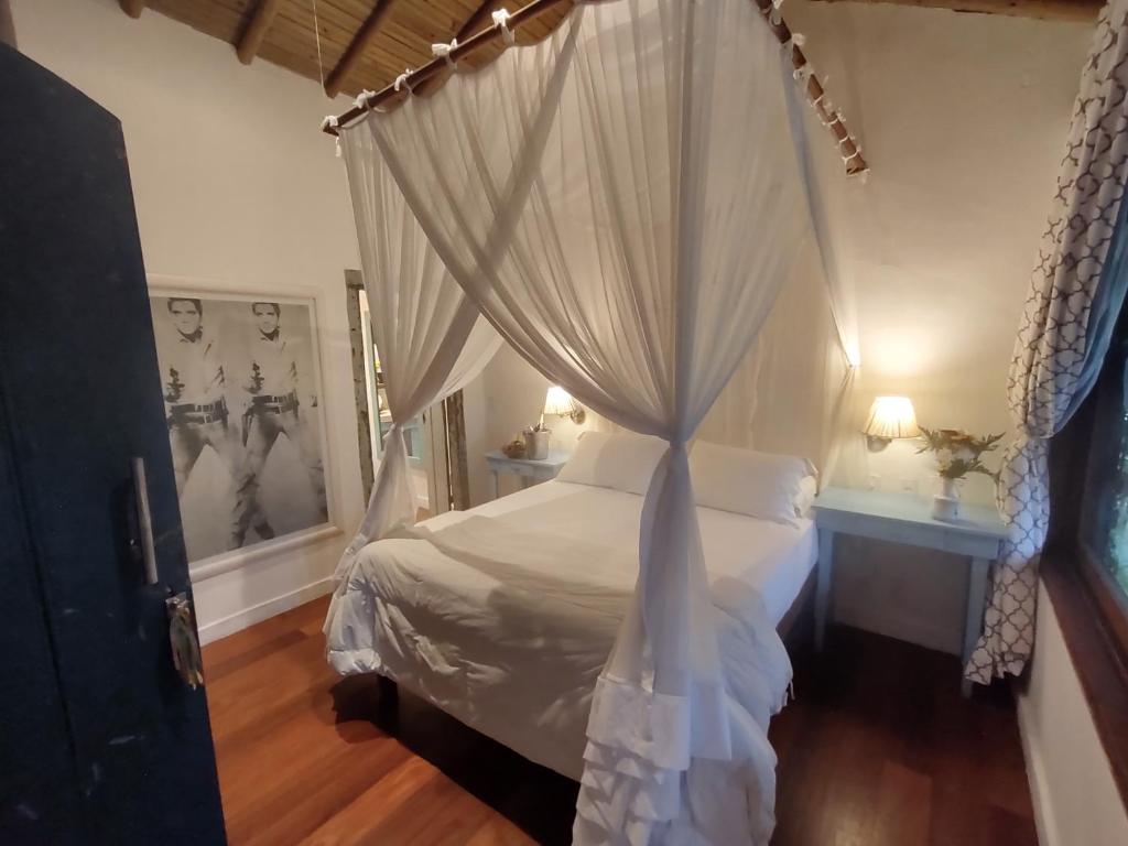 Postel nebo postele na pokoji v ubytování Monkey Casa Hotel