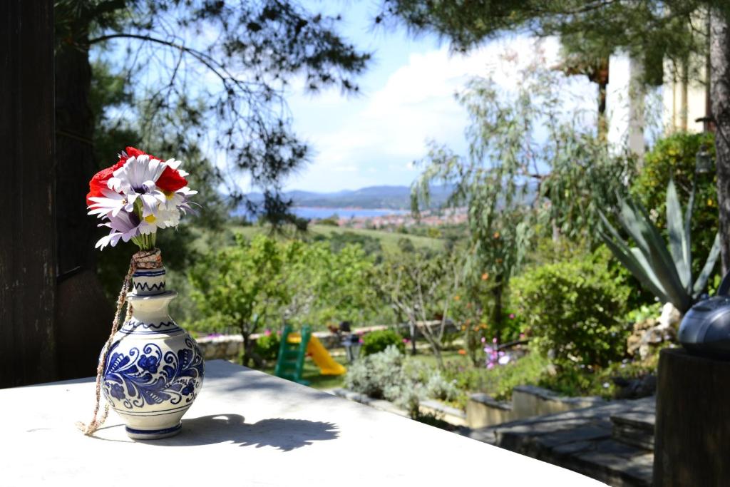 尼基季的住宿－House Antaya，花朵里的一个蓝色和白色花瓶