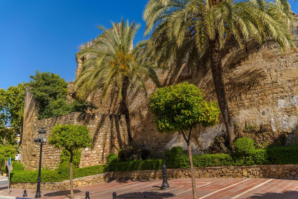 Pensión Aduar - Resim 10