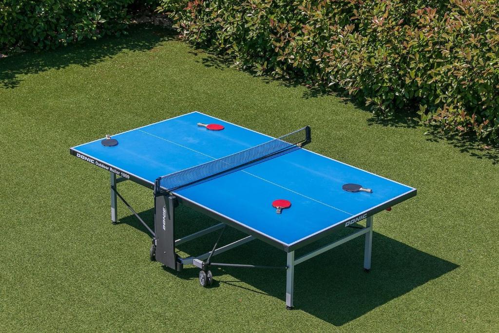Tenis stołowy w obiekcie Villa Štefanja lub pobliżu