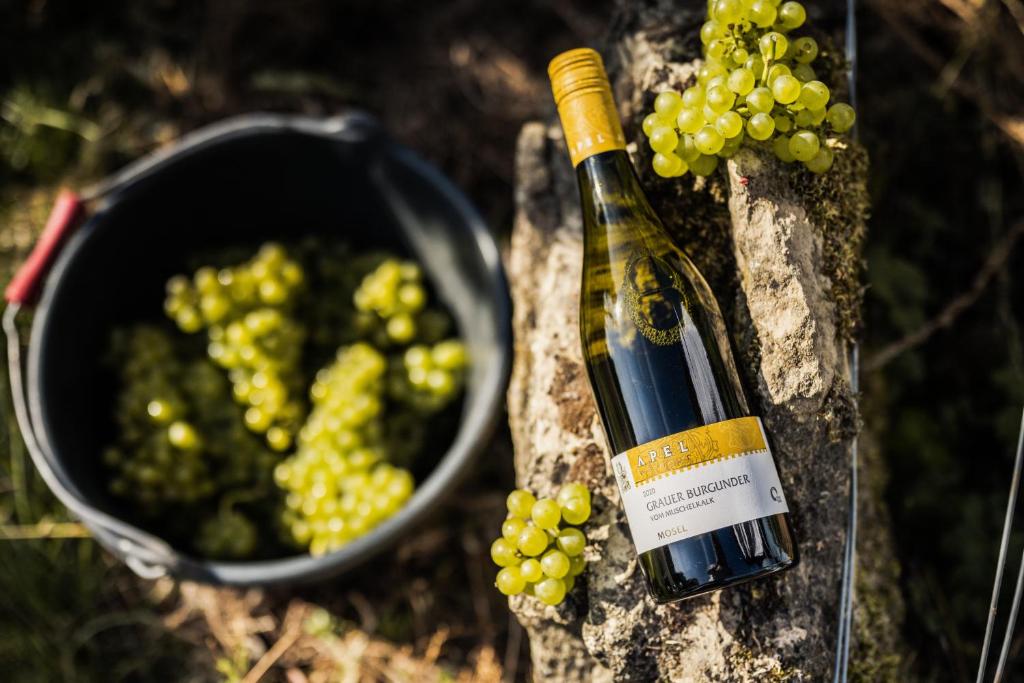 Nápoje v ubytování Weingut und Gästehaus Apel