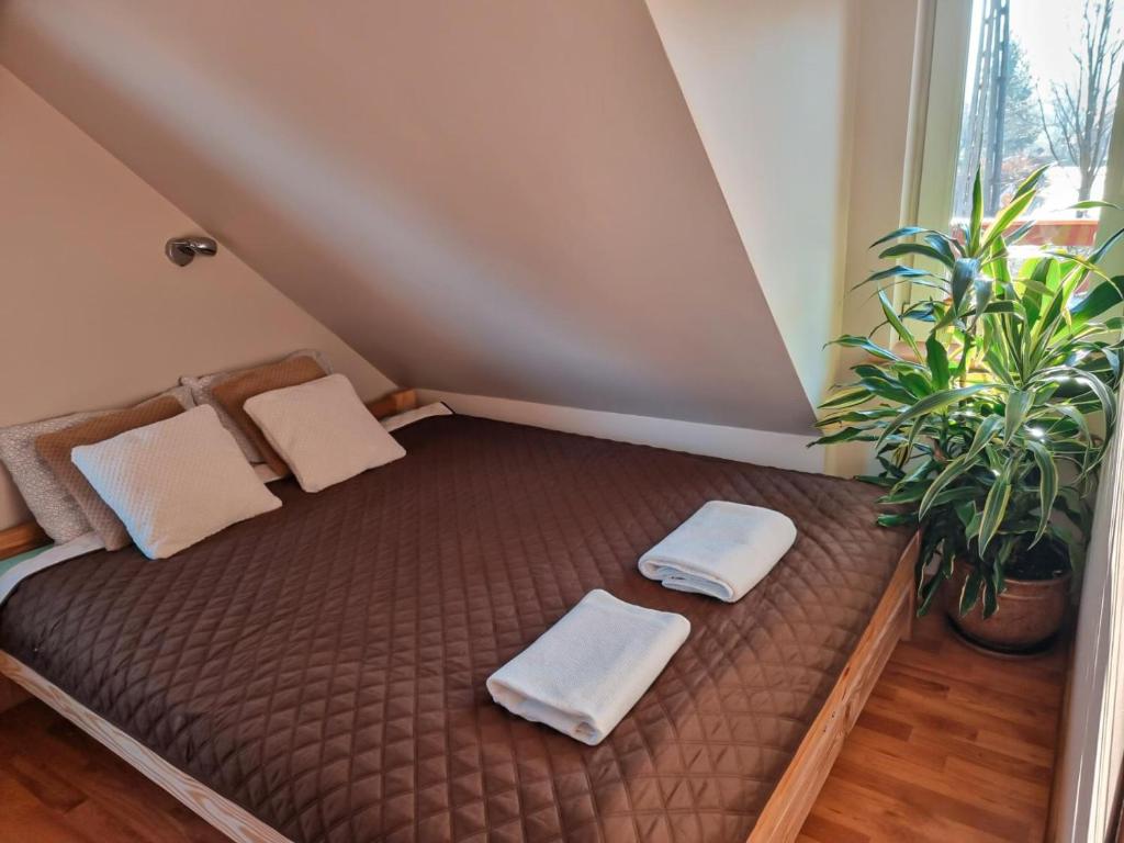 małe łóżko w pokoju z dwoma roślinami w obiekcie vinico w Piechowicach