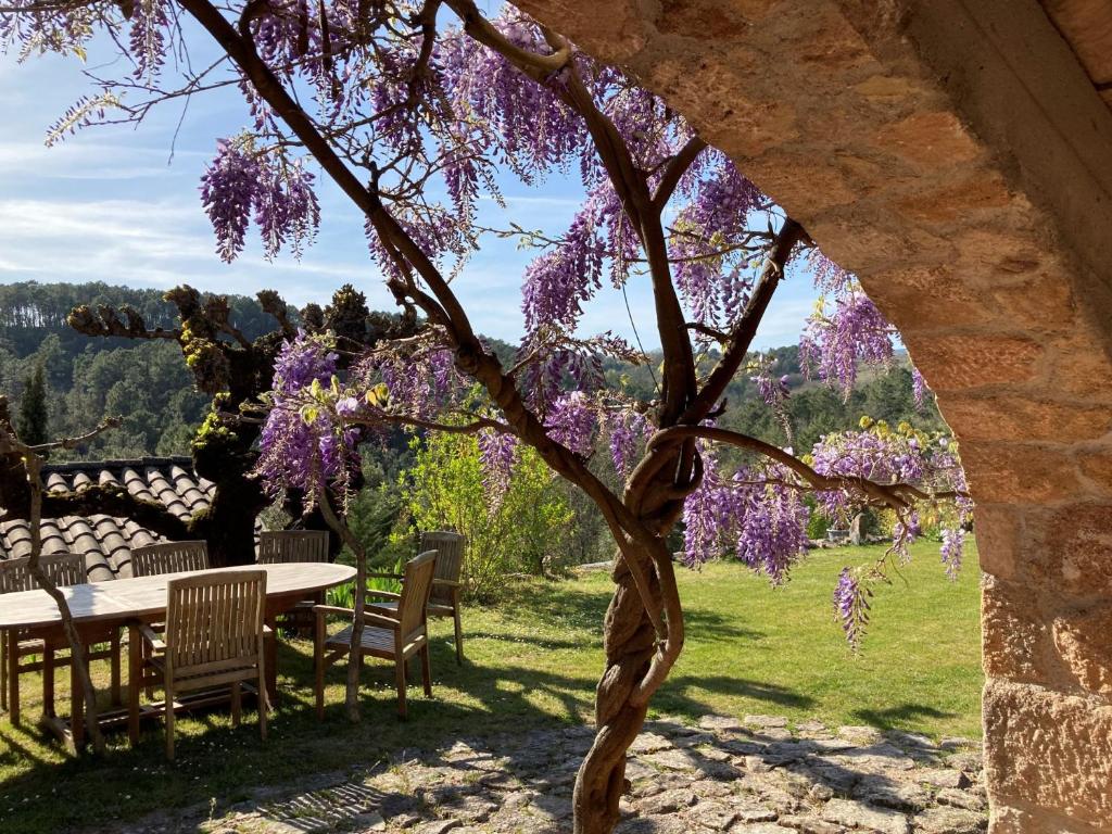 Zahrada ubytování Mas de la Giralde - B&B