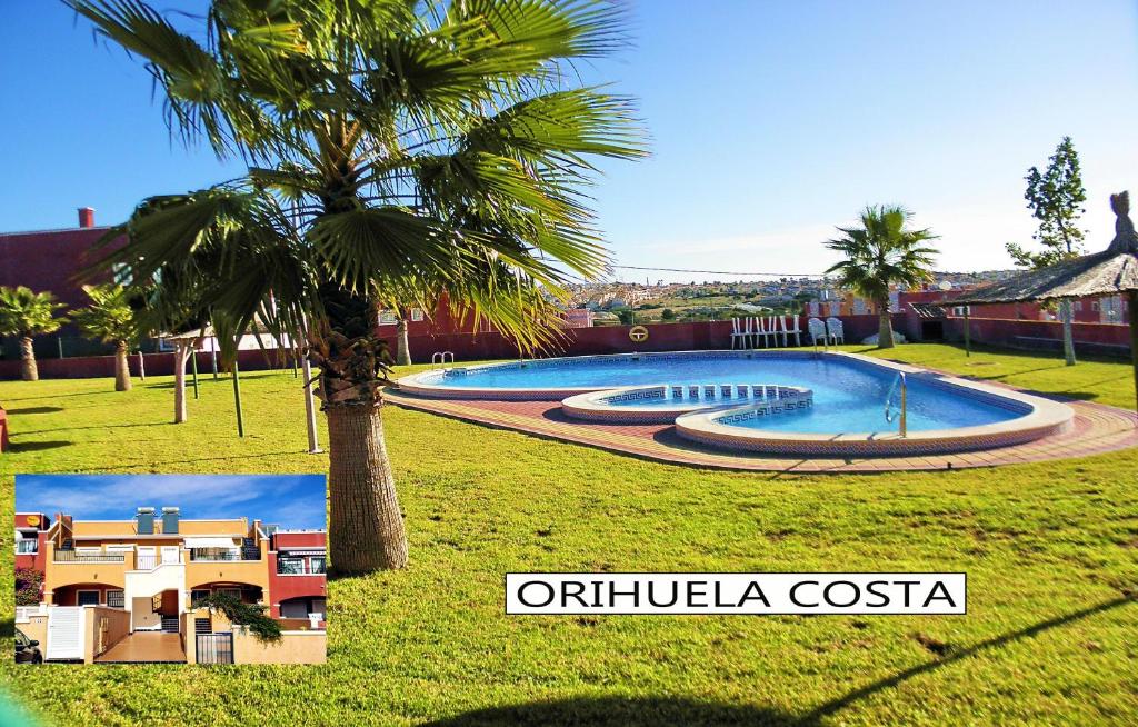 een palmboom naast een groot zwembad bij Apartment with large roof solarium in Orihuela-Costa