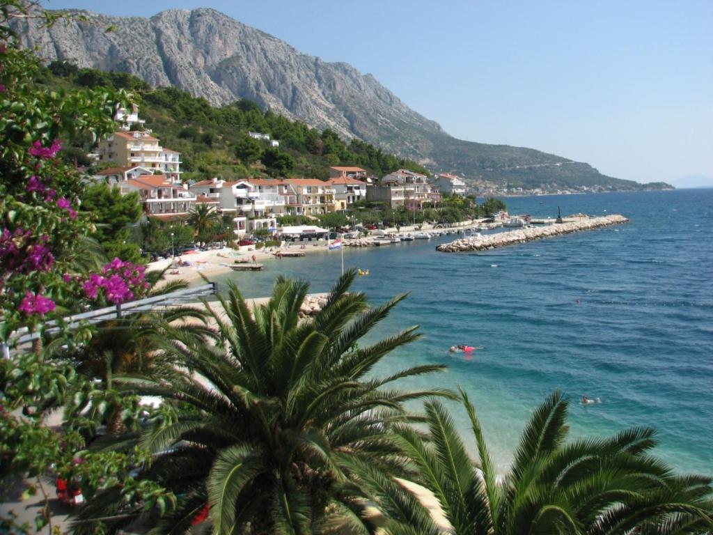 Príroda v okolí apartmánu