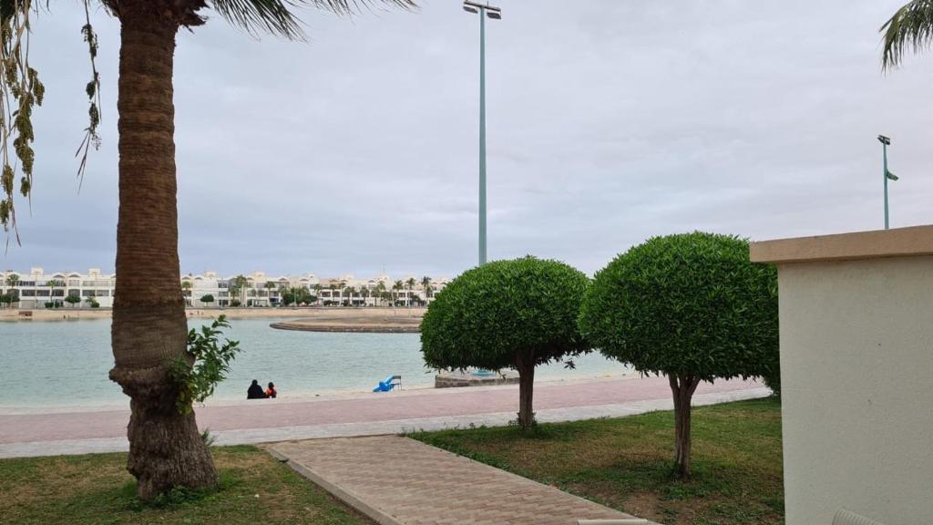 a beach with two palm trees and a body of water at درة العروس - القرية الحالمة - شقة دور أرضي على البحر - Dream Village in Durat Alarous