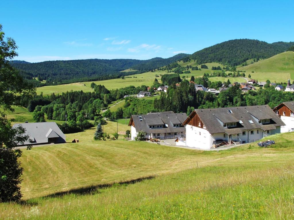 a group of houses on a hill in a field at Apartment Schwarzwaldblick IV by Interhome in Bernau im Schwarzwald