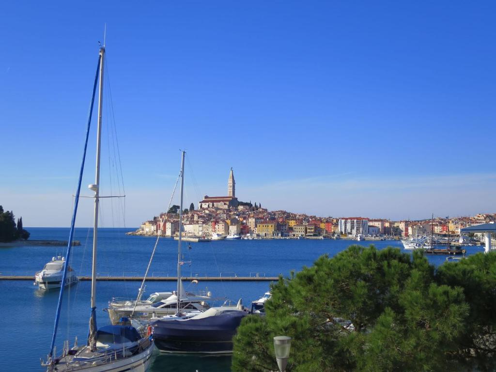 Příroda nedaleko apartmánu
