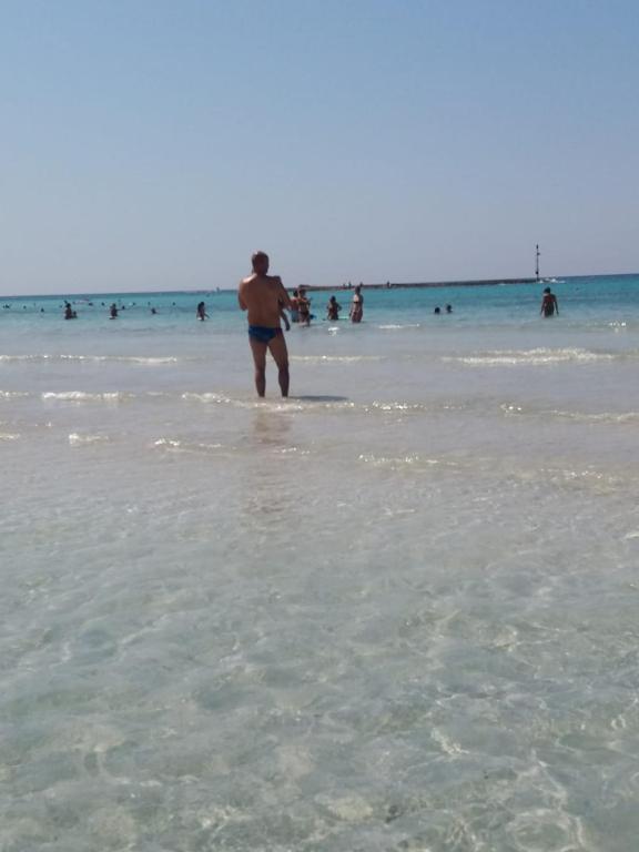 Táj Show holiday homes közelében