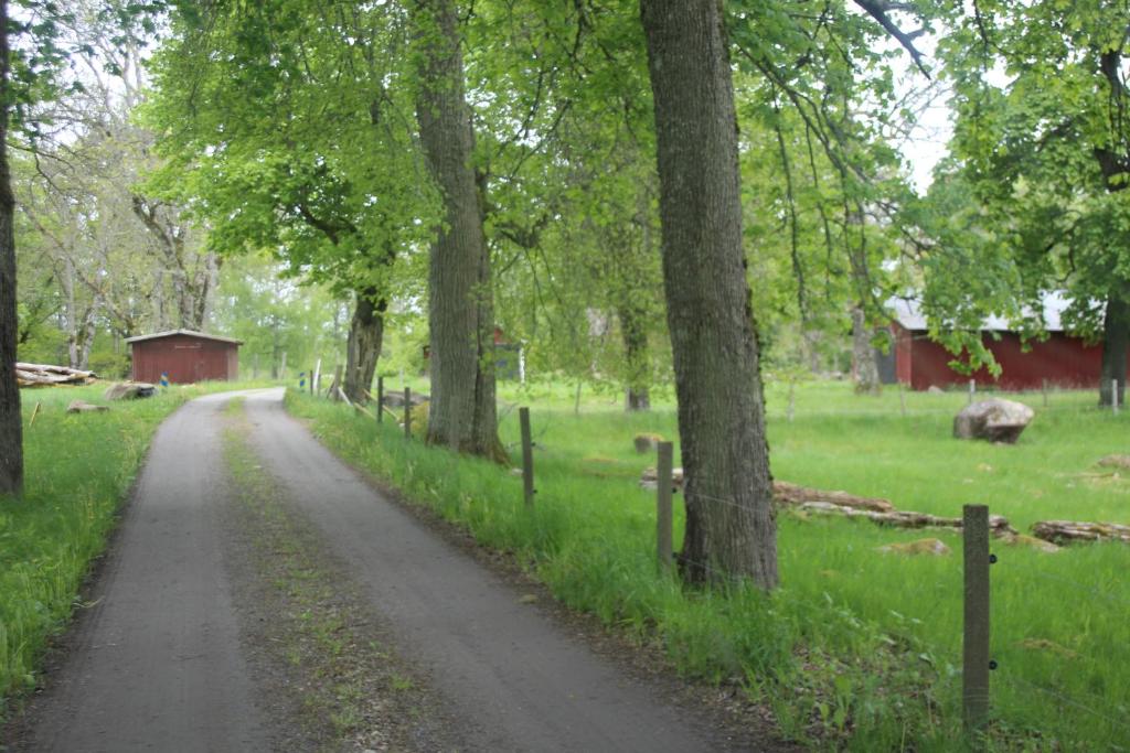 Příroda nedaleko bed and breakfast