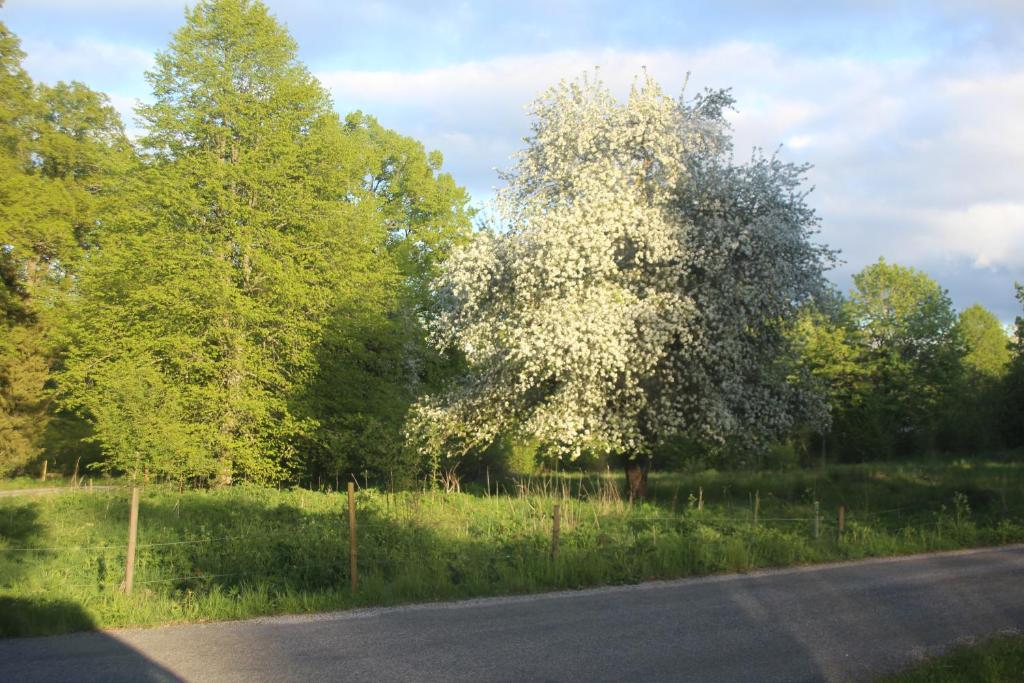 Příroda nedaleko bed and breakfast