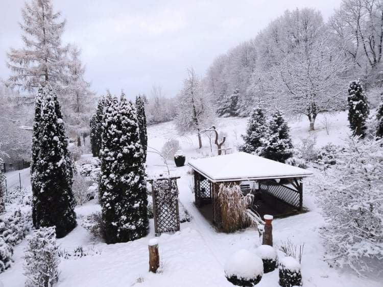 un giardino coperto da neve con panca e alberi di "Agroturystyka pod Magnolią" Rybnica 33 a Rybnica