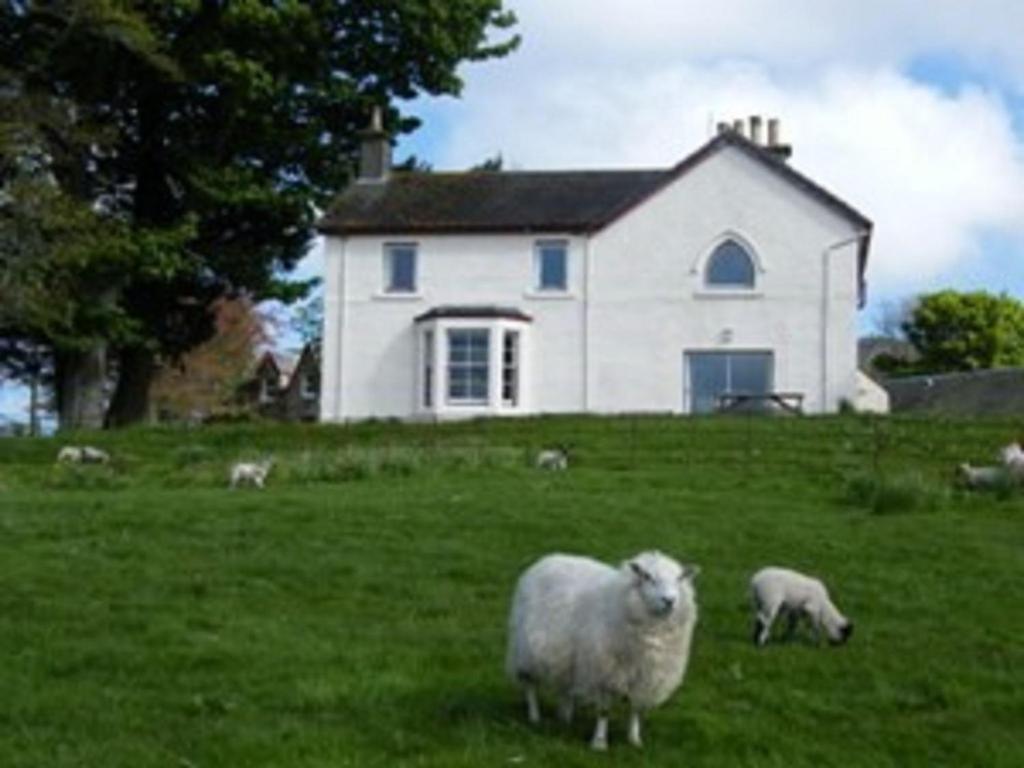 two sheep grazing in a field in front of a white house at Holiday Home Wester Riechip by Interhome in Dunkeld