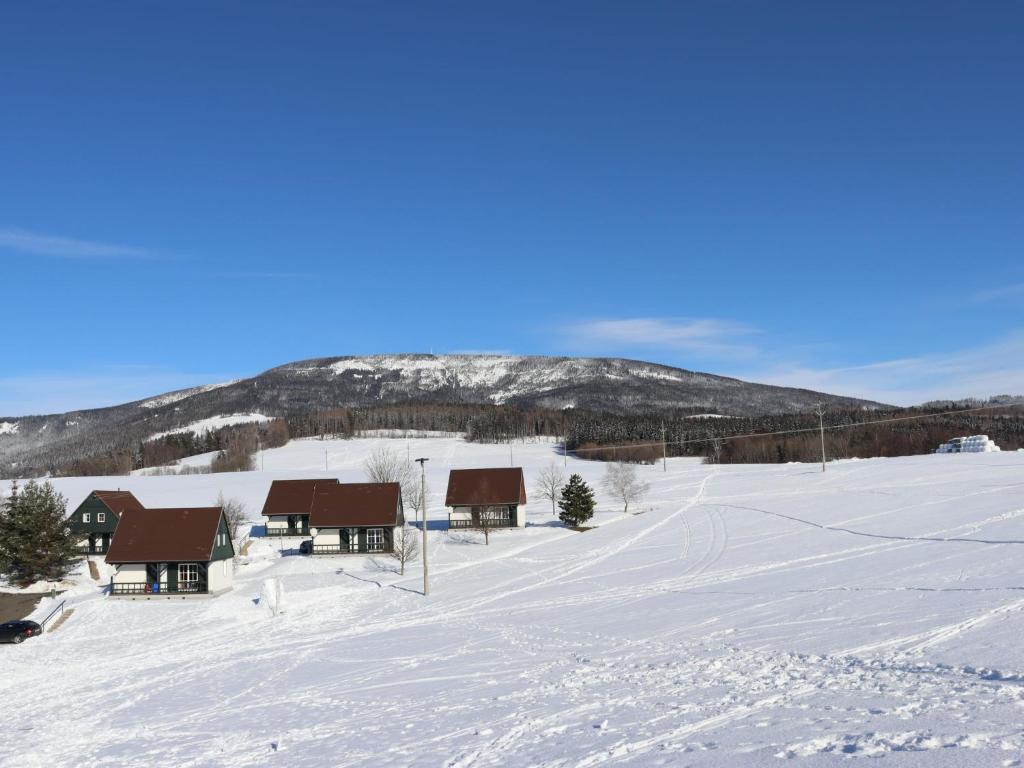 Holiday Home Holiday Hill 29 by Interhome v zimě