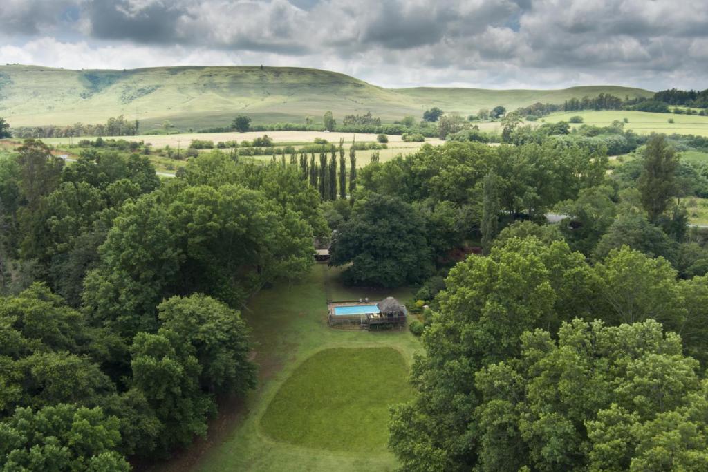 uma vista aérea de uma casa no meio das árvores em Waterford Manor em Henburg Park