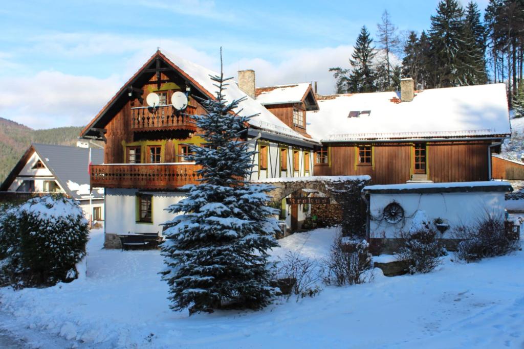 dom w śniegu z choinką na podwórku w obiekcie Willa Krokus w Międzygórzu