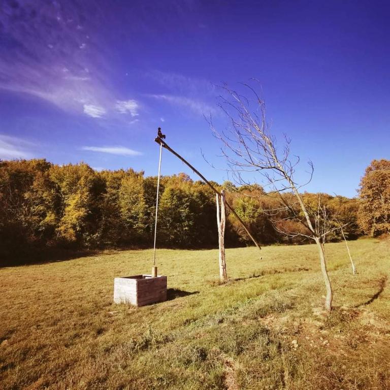 Fotografie z fotogalerie ubytování Green Gold v destinaci Čaglin