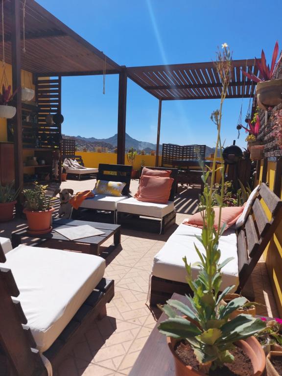 a patio with a bunch of beds and plants at Casa Bom Dia in Mindelo